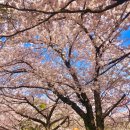 대발령 1쉼터 이미지