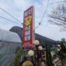 화신식물원 네이버블로그