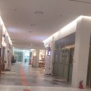 해운대박사부동산중개법인 이미지
