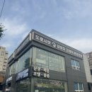 부산 강아지분양 도로시펫 | 부산 경남권 최대규모를 자랑하며 건강하고 바른 반려동물분양하는 부산 강아지분양 도로시펫