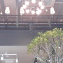 이디야부천약대오거리점 이미지