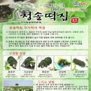 청솔떡집