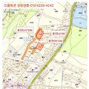 술이홀로(1) 이미지