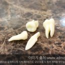 임플라인치과의원 이미지