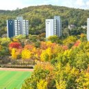 신정로(계남근린공원) 이미지