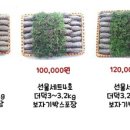 강원도 횡성군 횡성읍 읍상서로 이미지