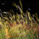 바람길목 이미지