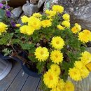 화채봉 계곡펜션 이미지