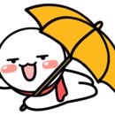 팔포실비 이미지