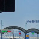 대전성심약국 | 대전 부산 2박 3일 여행 2일차 | 베나치오 주세요, 5병 주세요