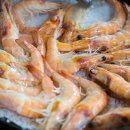 2024 청정완도 가을 섬여행 이미지