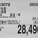 (주)닥터브레드