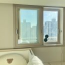 화성스마일약국 이미지