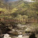 호박소가는길 이미지