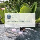 푸켓풀빌라 더나카에서 신혼여행 자유롭게 일정 보낸 후기