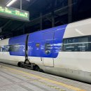 씨유목포제일점 | 26년 1月 주간일기(2) : 목포여행, 아이폰17 세이지, 두쫀쿠, 무도실무관, 행운을 가져다 주는 거북이