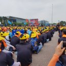 평화카포스 이미지