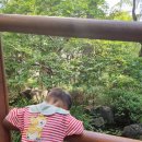 이리어린이집 놀이터 이미지