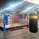 임팩트 복싱클럽 이미지