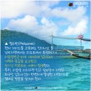 본격화된 해외여행, 나라별 주의사항 이미지