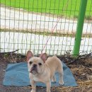 모아1리 이미지