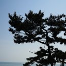 저두해수욕장 Daum카페