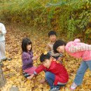 서벽초등학교 이미지