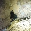 양수농장 이미지