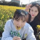 사계올레 이미지