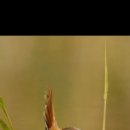 세븐일레븐 대구신천본점 이미지