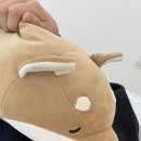메이벨 | 의정부 브라질리언 왁싱 샵 메이벨 찐 후기
