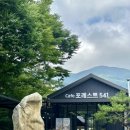 포레스트541 이미지