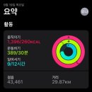 나, 비야 이미지