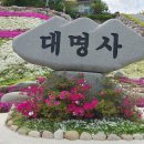 생초IC휴게소 | 여행후기_mr.j 16 산청 생초국제조각공원, 대명사
