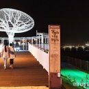 골든코스트 이미지