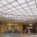 신나라소아청소년과의원 이미지