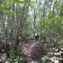 신복초등학교 이미지