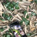 매일목장 이미지