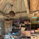 막다른 둥지 이미지