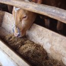 산골 논두렁 이미지