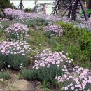 동남공원 이미지