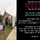 윈도우즈월드D