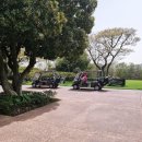 테디벨리골프장 4 이미지