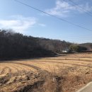 SUN 태양광발전소 이미지