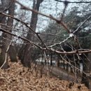 백옥대로1081번길 이미지