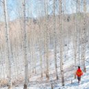 인제목장 이미지