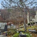 양평 글램핑장 마인드 글램퍼스 글램핑 | 서울 근교 글램핑장