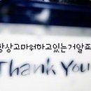 내이처럼 Daum카페