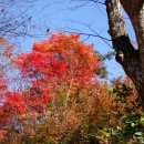 심천치유자연휴양림 이미지