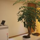 밸런스본의원 이미지